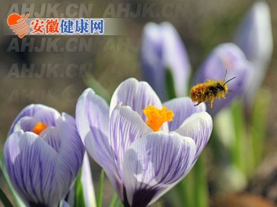 ����ʱ��������   ��ͬ����ע������