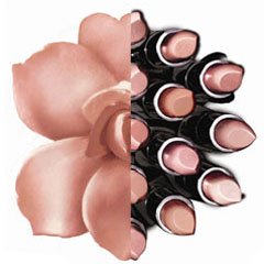 2011��ɫ֮�㴽���̵�