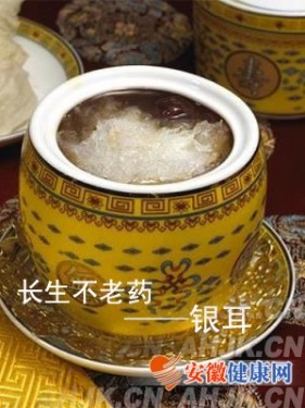 ����������ҩ&mdash;&mdash;����