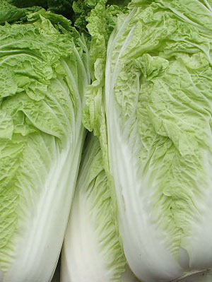 ����ʳ��������������