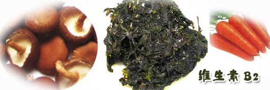 ���T������ȥ�͵�4����