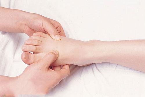 ʮ����ȼ֬���˶��Թ�����