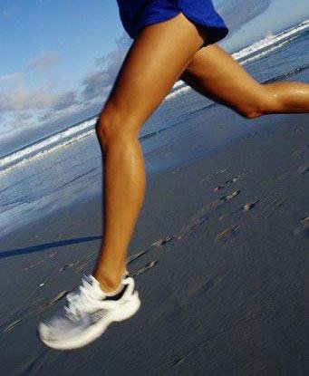 ʮ����ȼ֬���˶��Թ�����