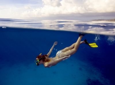 ʮ����ȼ֬���˶��Թ�����