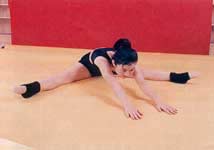 ħ�������ٳ� ���徲����