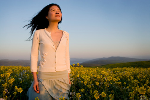 ���ϼ���Ч����