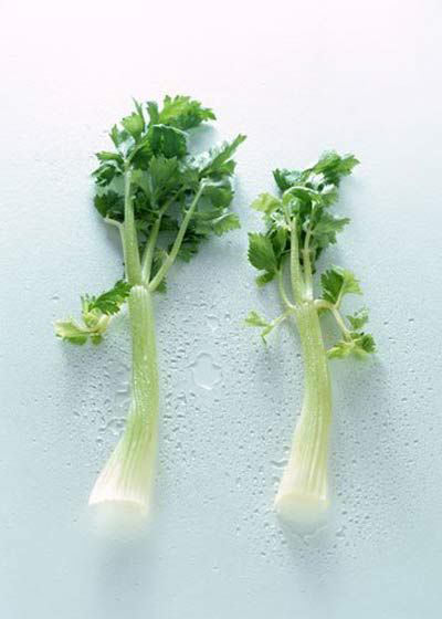 4款美味又减脂的瘦身蔬菜汁