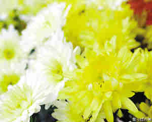 кҩ����ע��ʲô