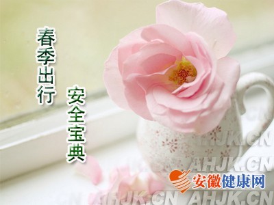 ���γ��а�ȫ����