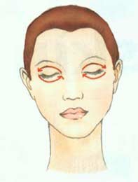 Ϳ�۲�������