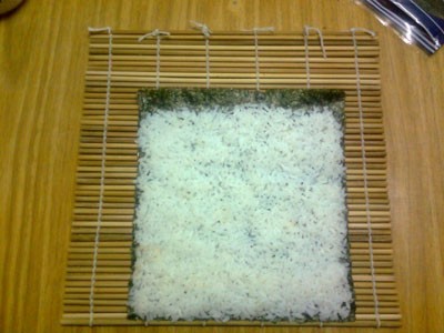 ���������������Կ�ûӪ��