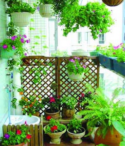 ������̨�ֵ��ҩ�洦��