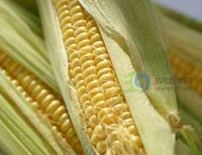 ���׼��ǽ���ʳƷҲ������ʳƷ