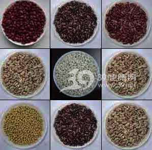 多吃豆会吃出啥病来呢?