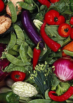 С�����ǿ�������Щʳ�����ƣ��Ŷ