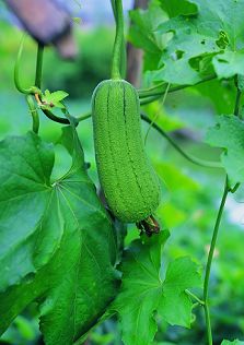 �ļ����߲�Ҫע�������