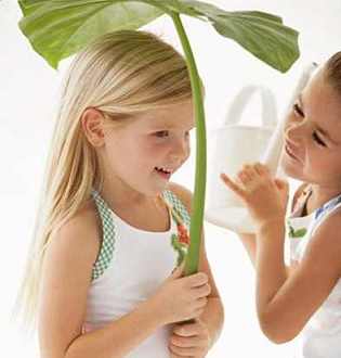 �ļ�������