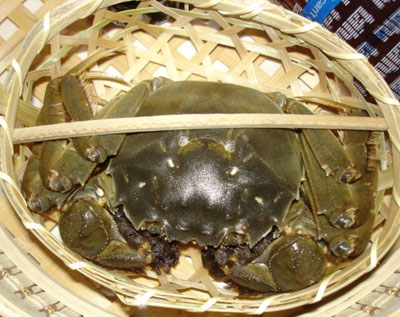 �ļ���ˮ��һ��Ҫ��͸