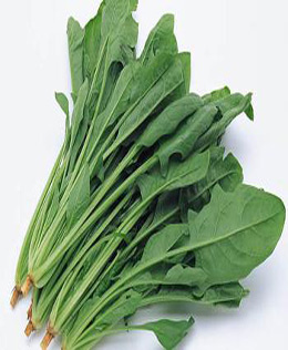 �＾���˳Ե��Ĵ����