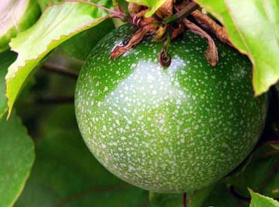 ����������֮��