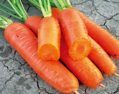 ��ʶʮ�ֶ�ͷ��������ʳƷ