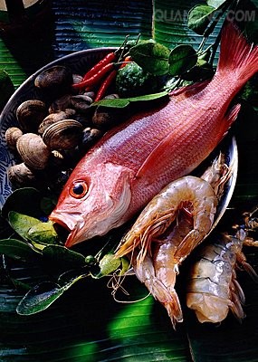 ����׳��ȫ���Գ���