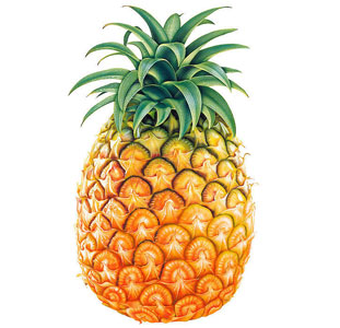 ������ݵ�ˮ���󼯺�