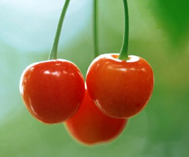 ������ݵ�ˮ���󼯺�