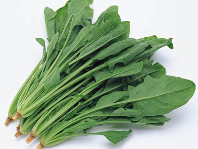多吃菠菜可降患白内障几率