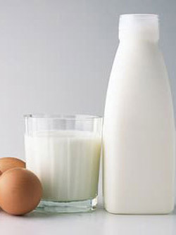 ע����ʳ���������������