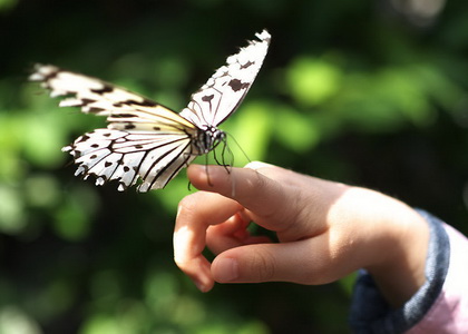 ����ͻϮ����ǣ�ֻ��Ƿ���