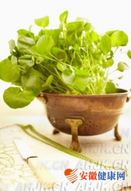 8��ʳ������Сƫ�� ���������ò 