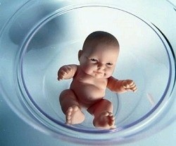 ���Թ�Ӥ����Ҫע���10������