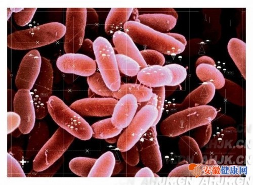 腹膜透析疗法治疗尿毒症疗效良好