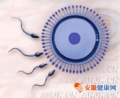 ���Բ���������������