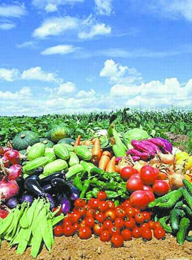 蔬菜帮你抵御前列腺癌