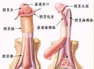 血管性阳痿应做什么检查？