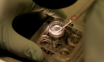 &ldquo;�Թ�Ӥ��&rdquo;�������۷���