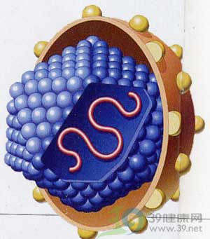 ̽���Ҹ�����֮���ա�