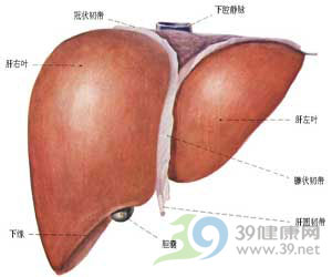 ����!������ҩ���˸�