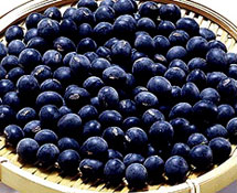 �ڶ����Խ��͵��̴�