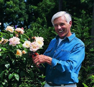 ��ʳ�����ɰ�������