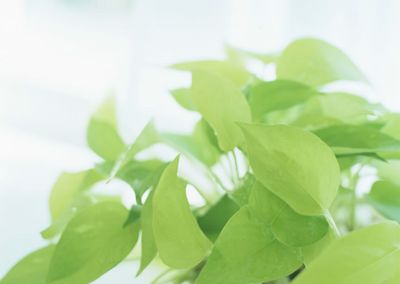 老年性白内障怎么防治