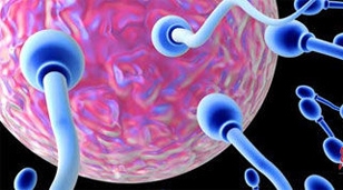 ��������&ldquo;�Թ�Ӥ��&rdquo;Ҫ������