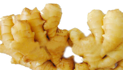 ����������˪��ʳ�û��°�