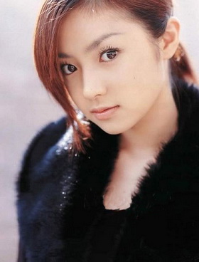 �������ȵ�������ԭ��ģ�