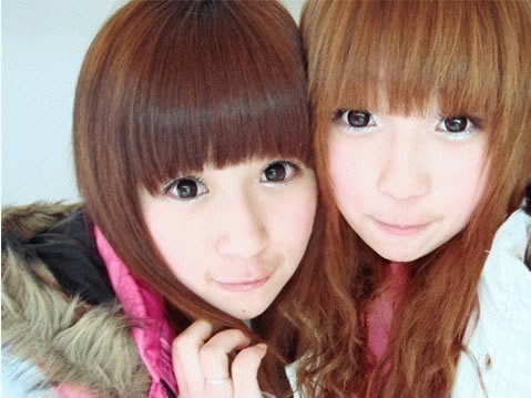 ����ҩ����Ѫ��������