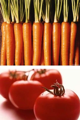 ������Ҫ���ڿ��ϵ�Ů�Զ��ԣ�����Ҫ���Ƿ�ֹ��ԭ����