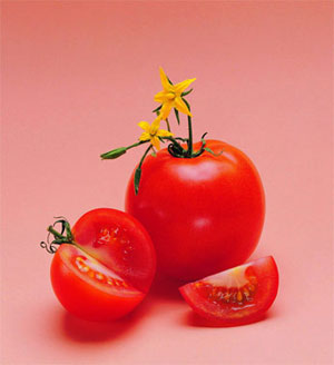 ��Ѫ˨ʳƷ&mdash;&mdash;������