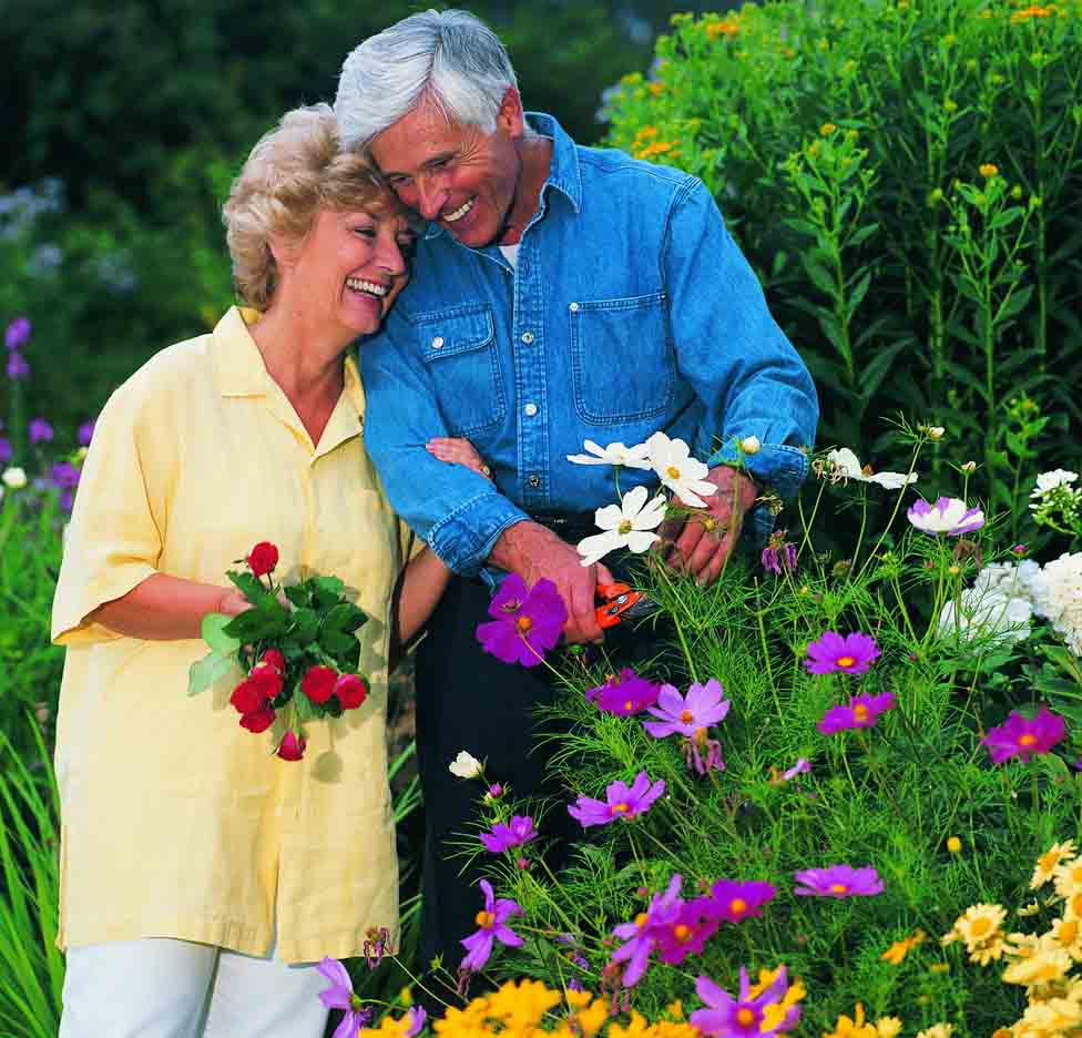 �ʵ���ʳ�Ա���Ѫ�ܽ���